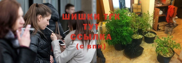 меф Няндома