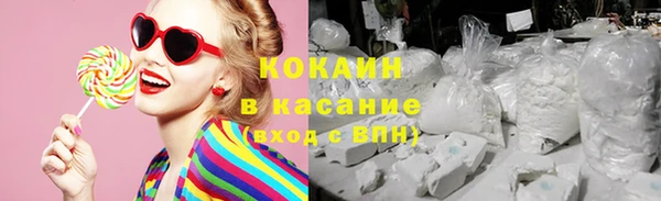 меф Няндома
