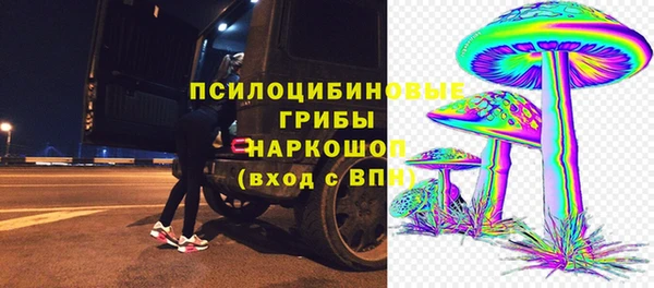 меф Няндома