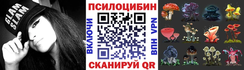 купить наркоту  Поворино  Галлюциногенные грибы Psilocybe 